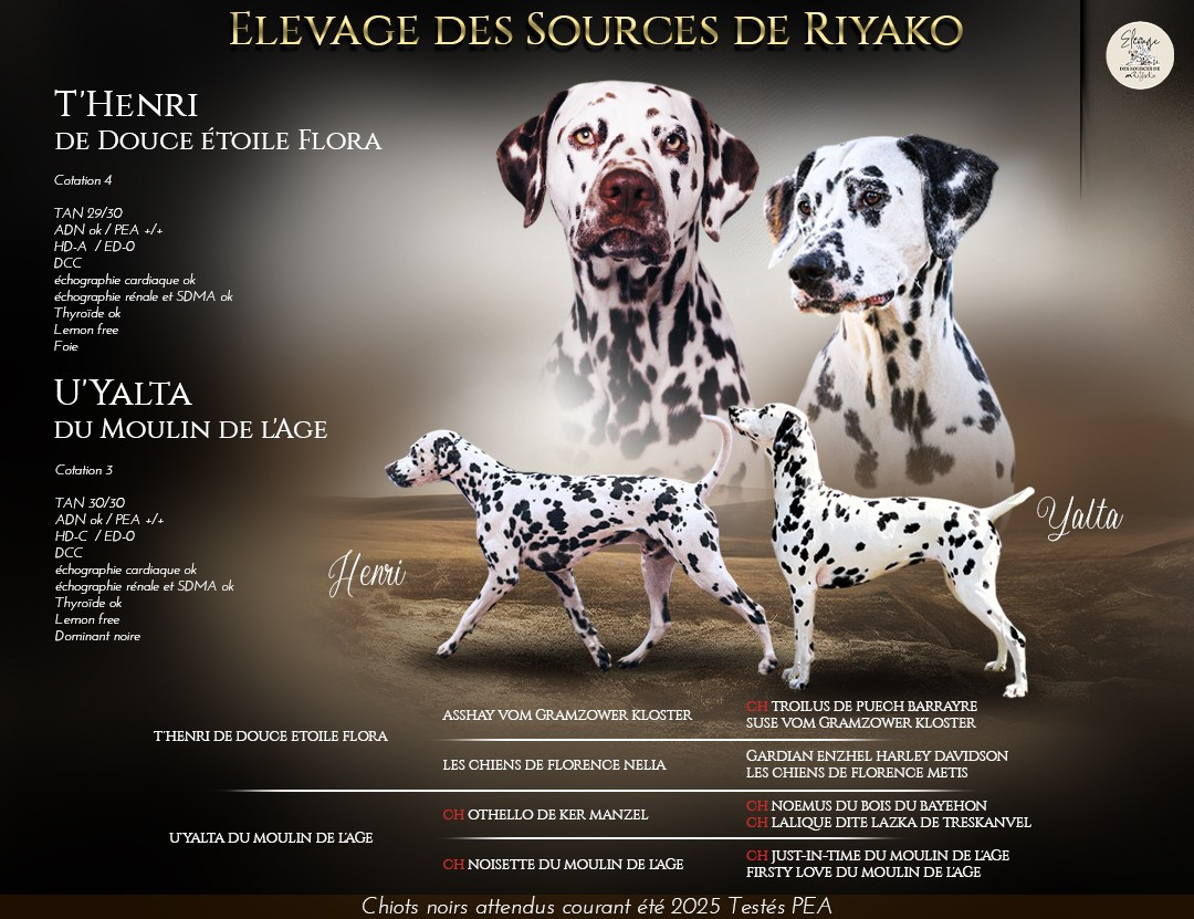 Portée Audacieuse 2025